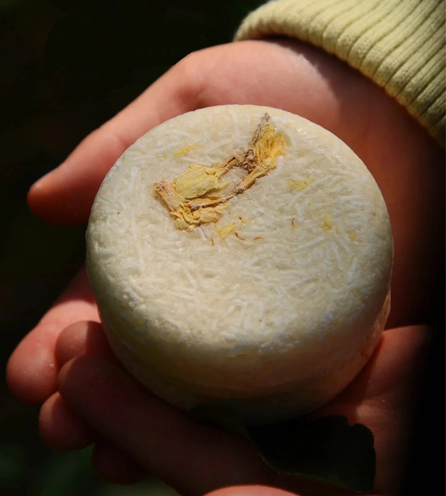 All-in-One Care for a Balanced Scalp/Rosemary & Ginger Shampoo Bar Duo - For Oily & Sensitive Scalp