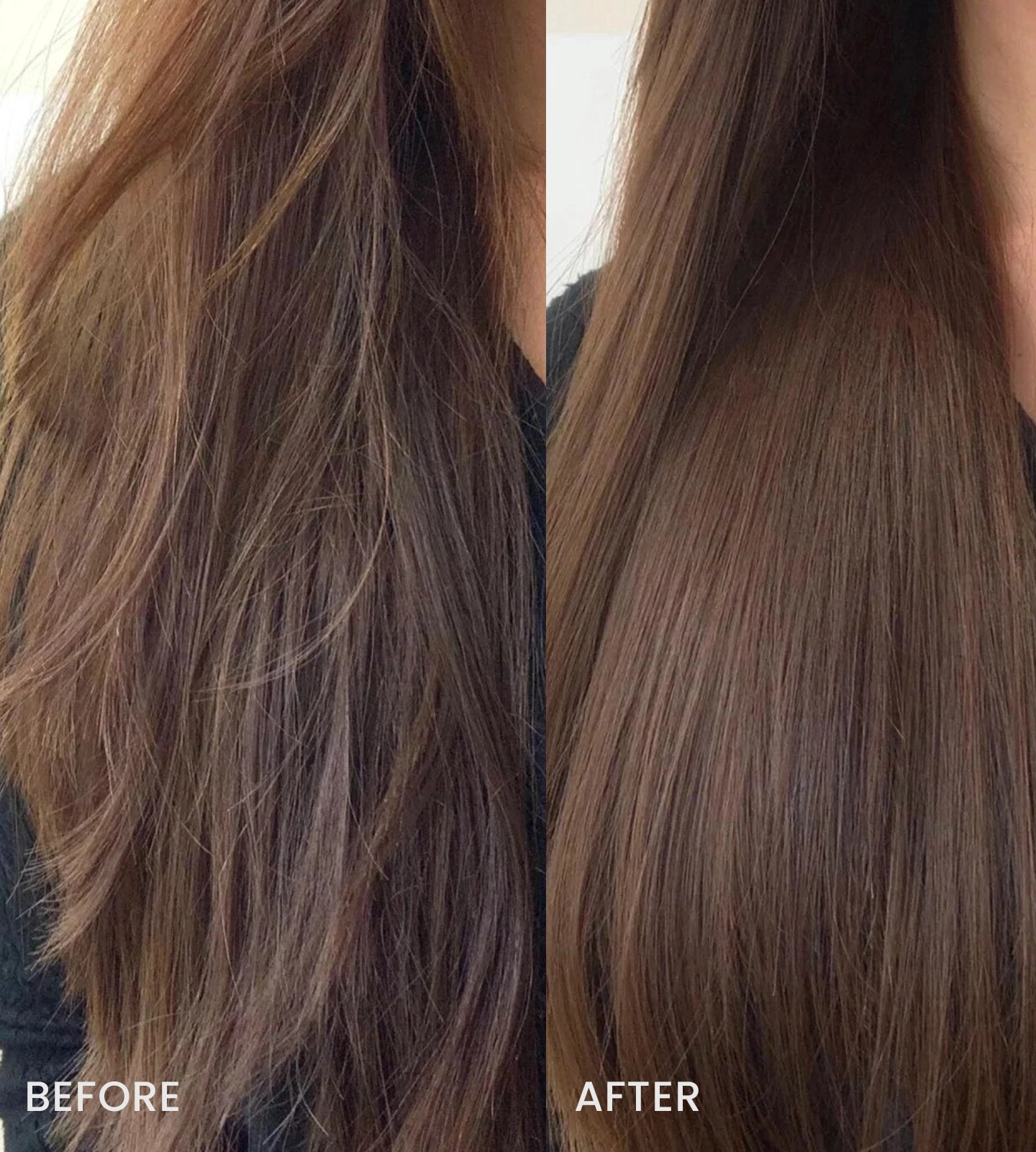 All-in-One Care for a Balanced Scalp/Rosemary & Ginger Shampoo Bar Duo - For Oily & Sensitive Scalp