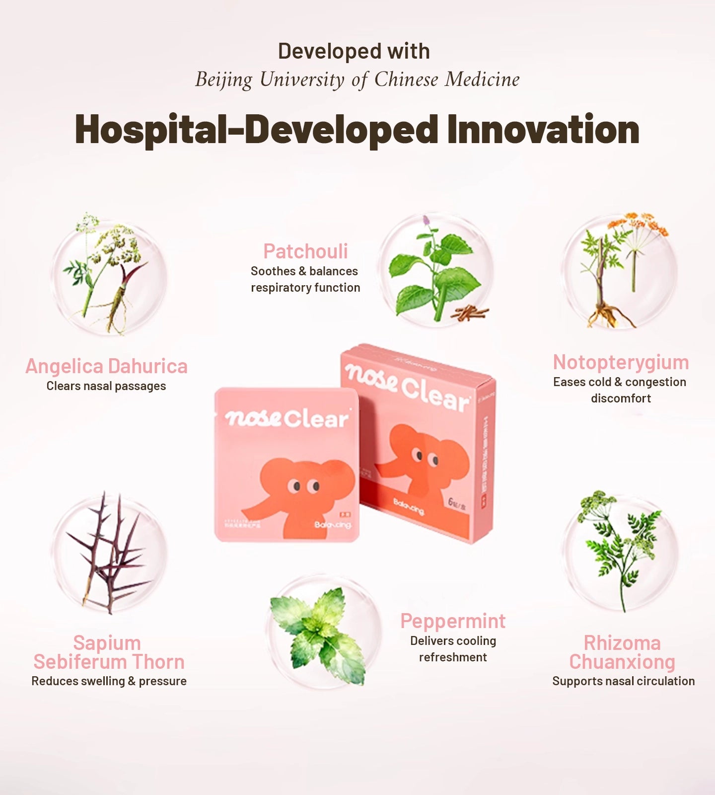 Herbal Aroma Nasal Clear Patch